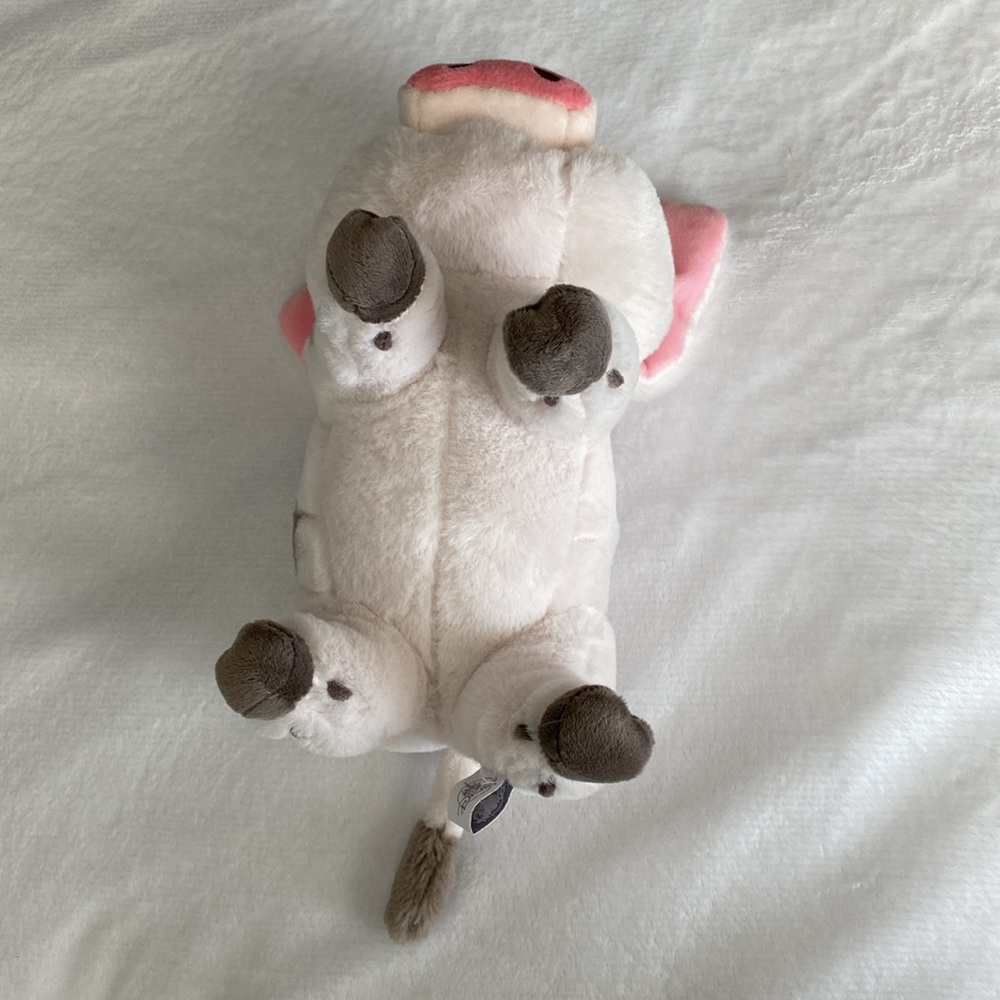 Disney Parks Moana Pua plush - Picture 5 of 6